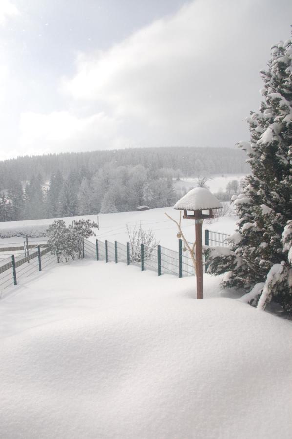 Ferienhaus Waldblick Siegmundsburg Exteriér fotografie