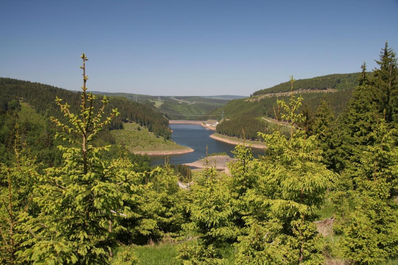 Ferienhaus Waldblick Siegmundsburg Exteriér fotografie